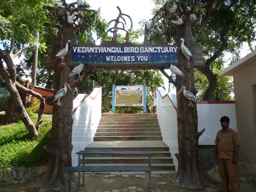 Vedanthangal fuglereservat