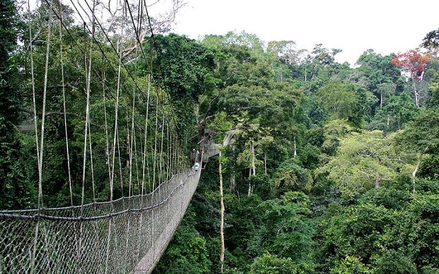 taman-negara_malaysia-turist-steder