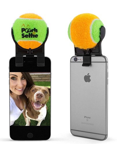 Pet Selfie Stand