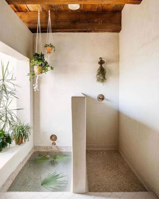 Vihreä kylpyhuoneen suihkukaapin vesialtaassa, jossa on lehtiä onnekas lilja ja Co. roikkuu kasveja ikkunalaudalla