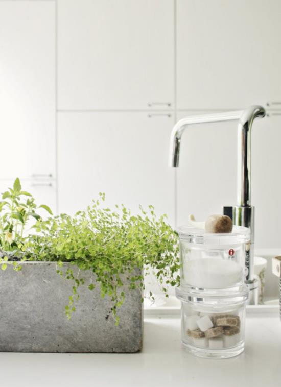Vihreä kylpyhuoneen ruukussa vihreitä kasveja hanan vieressä