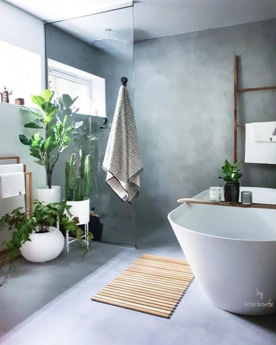 Vihreä kylpyhuoneessa tyylikäs kylpyhuone, jossa on harmaita paljon kylpykasveja, kuten kaktuksia
