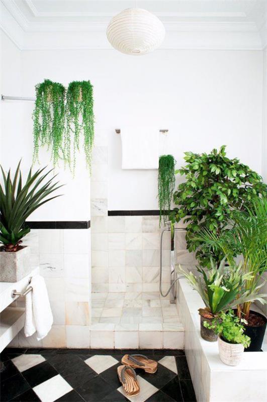 Erilaiset vihreät kylpykasvit koristavat valkoista kylpyhuonetta