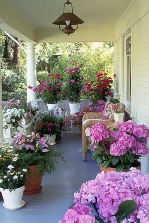 Pieni katettu kuisti meren kukkia hydrangeas muita värikkäitä kukkia