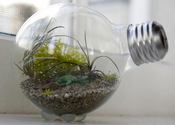 deco -lamput terrarium