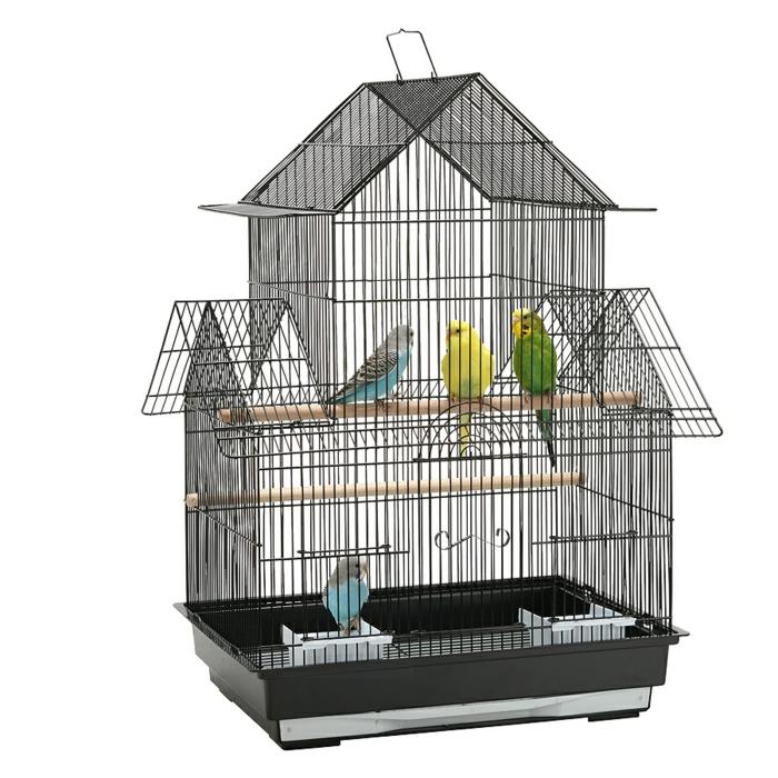 Budgies häkki lemmikit hoitavat villieläimiä